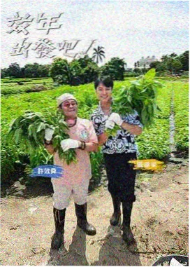 盲盒电视剧 下午四点的面包店 治愈综艺封面